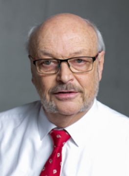 Hochberg, Ulrich, Prof. Dr.-Ing.
